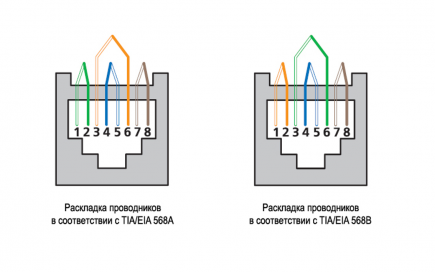 Коннектор RJ45/8P8C под витую пару, Кат.5e, экран. (упак. 100шт) (EC-UP8P8C-SD-003-TR-100)